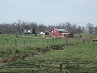 80 acres tillable.  30 acres mature woods for long term timber potential.  32 acres pasture with streams.  Perimeter and cross fenced ready for your livestock.  Excellent horse/livestock community.  Nettle Creek School system.  Abundant road frontage.  Information is estimated and not warranted.  - 136 Acres - Cattle - Horse - Grain Farm - Farmhouse - Barns - Pasture